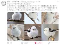 https://images.plurk.com/3amWoFlXrGTgVmrIQV7NKx.png