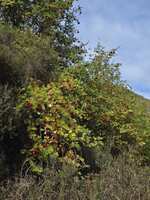https://images.plurk.com/3bLRroccKRLE8KwV3vIHsx.jpg