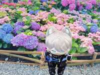 https://images.plurk.com/3bPALcBSIxP4iak8xfNA3H.jpg