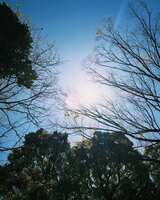 https://images.plurk.com/3bQ5p93p2aGmU9SfHRhZpS.jpg