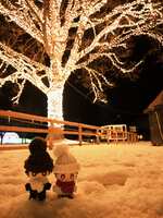 https://images.plurk.com/3bT5v5AoyYlfXwo7KPXBVR.jpg