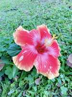 https://images.plurk.com/3bdSpdGRTKEdhp6dS5sfmq.jpg