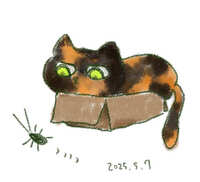 https://images.plurk.com/3bqO2ou19eTD7upoE3fC7c.jpg