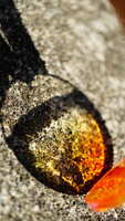 https://images.plurk.com/3bs03wJRdjCthJThAsXdQs.jpg