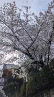 https://images.plurk.com/3bsG9PRWr1WZAUQzSCRhXP.jpg