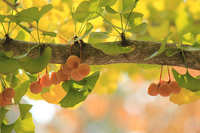 https://images.plurk.com/3budiPIX7rou03B4BFVRwF.jpg