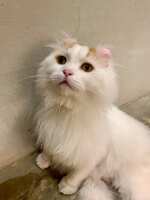 https://images.plurk.com/3bvZWcGOZZ9fRkYz6cYmFc.jpg