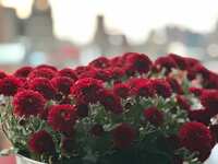 https://images.plurk.com/3bxf3poOtJPvyRCgN5xRHU.jpg