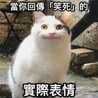 https://images.plurk.com/3c3cGL7UcTZkVlO9HrLrAo.jpg
