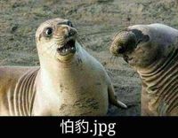 https://images.plurk.com/3c9ERIduMesMSUoJ5jR4YQ.jpg