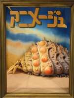 https://images.plurk.com/3cBpTHvo4wNNvBr51F79yI.jpg
