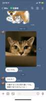 https://images.plurk.com/3cEKE74p4Dd9whkonW1trg.png