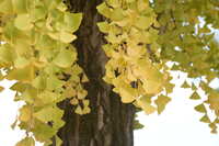https://images.plurk.com/3cM7zhiGlR00KMqoQiQqLw.jpg
