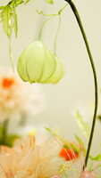https://images.plurk.com/3cRbZFw8OjWTfkt84dKtjL.jpg