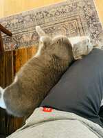 https://images.plurk.com/3cVdzwxbeidb4ASJ9rYPOK.jpg