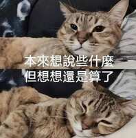 https://images.plurk.com/3cWWG4DCSkv4y2yaqtBSAj.jpg