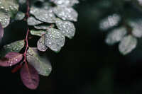 https://images.plurk.com/3cb18NNRgbvKe5FhvsmoE4.jpg