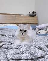 https://images.plurk.com/3ceSJx1oTYo49KmMnbqwRC.png