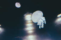 https://images.plurk.com/3cfIZkpekVD3gR1f1KJMTg.jpg