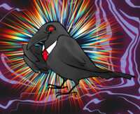 https://images.plurk.com/3coo8LzGIYxqQ3eGObbouC.png