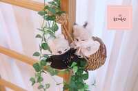 https://images.plurk.com/3cpgOuC9mXQpNdXe0e989O.jpg