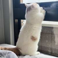 https://images.plurk.com/3crpCHKNMnLMISznTlO2Dm.jpg
