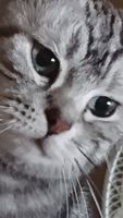 https://images.plurk.com/3cv5ZFCIUajFayqr7GfyT6.jpg