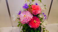https://images.plurk.com/3cvexvHWdRUvU0rhATNJxe.jpg