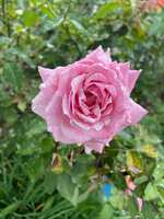https://images.plurk.com/3d50UHgGJE2Efw32qO7pL3.jpg