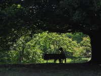 https://images.plurk.com/3d8RZMM3Pbh14Sey9vOcdX.jpg