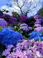 https://images.plurk.com/3d9u7VsCXXWE8PCPjSXlh0.jpg