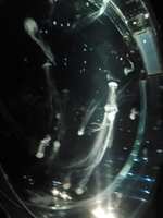 https://images.plurk.com/3dAXEEJPByG5qM9UtzMKX7.jpg