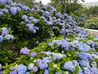 https://images.plurk.com/3dDK5Kg2I5y47bNxalvDMW.jpg