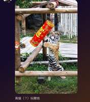 https://images.plurk.com/3dFdhfsgoxSAKEMoyMiUvq.jpg