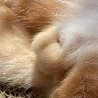 https://images.plurk.com/3dHHYbzy0dBW09Ca5agWpn.jpg