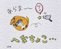 https://images.plurk.com/3dIEiR5XVE0M8elmXigg7m.jpg