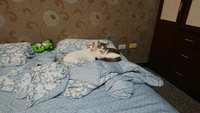 https://images.plurk.com/3dKvRjvOl3IdGo83Jg2Tsz.jpg