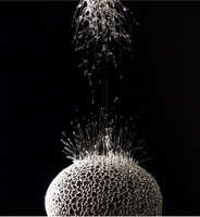 https://images.plurk.com/3ddW9HQuiEGfoG1RQz7QH.jpg