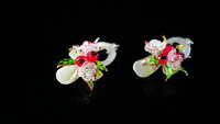 https://images.plurk.com/3dgDzafvl4KrF55XhuieCy.jpg