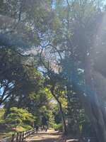 https://images.plurk.com/3diCbA626UOotgFWn9xwrh.jpg