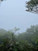 https://images.plurk.com/3djHWctqCjlrniBHaBZBui.jpg