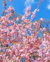 https://images.plurk.com/3dnNgY7wzshswBK5e7r3pW.png