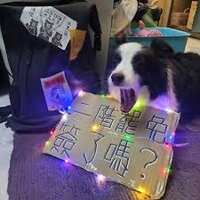 https://images.plurk.com/3dpM1rMvF3uh2Mt1mNBlR.jpg