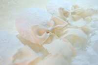 https://images.plurk.com/3dsDKOEy57y4IsO7mMiUXz.jpg