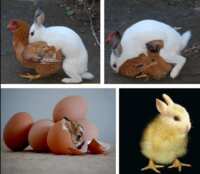 https://images.plurk.com/3dtRkwRVYDjtG5wosTcV6D.png