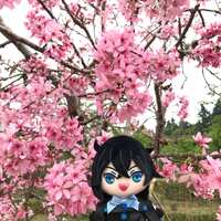 https://images.plurk.com/3dznq6dP7oWrdJ2k6Ru7xW.jpg