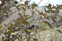 https://images.plurk.com/3e7lJV47yjfvn9xLaqDnma.jpg