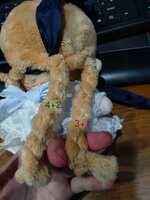 https://images.plurk.com/3eUF4iziq31FBGrL31x7CJ.jpg