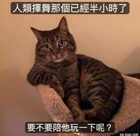 https://images.plurk.com/3eW6hM7spmtWz1U9dZaBQ5.jpg