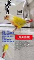 https://images.plurk.com/3ecOlbqx2J4AWQOR3moQJt.jpg